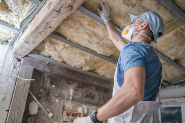 Best Spray Foam Insulation in Black Rock, NM