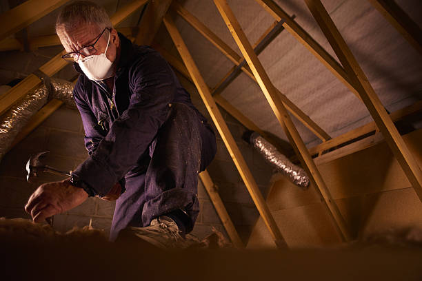Best Fiberglass Insulation in Black Rock, NM