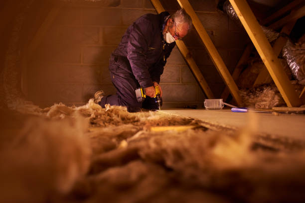 Best Specialized Insulation Services in Black Rock, NM